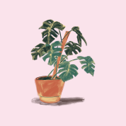 planten
