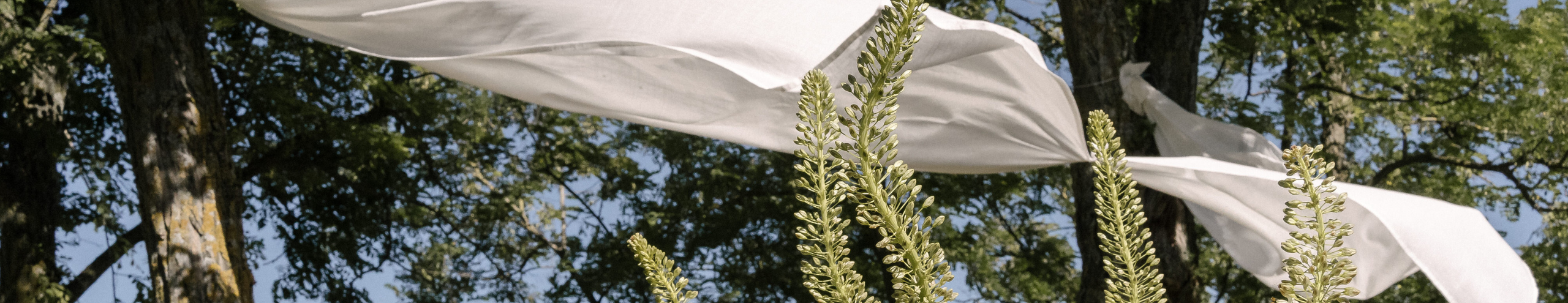 Image Slider