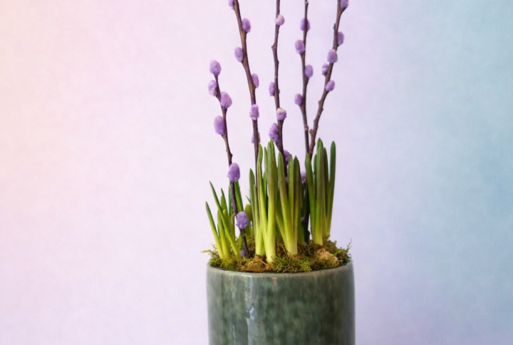 Pot met muscari & katjes