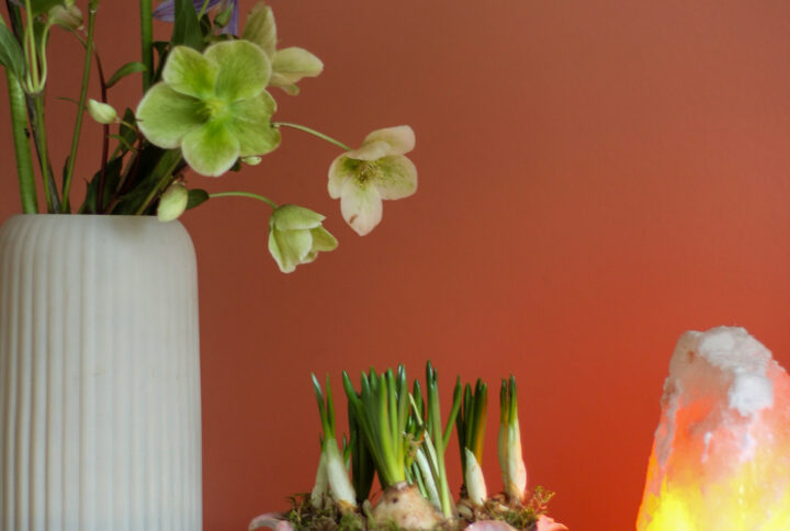 Pot blauw & witte bollenmix