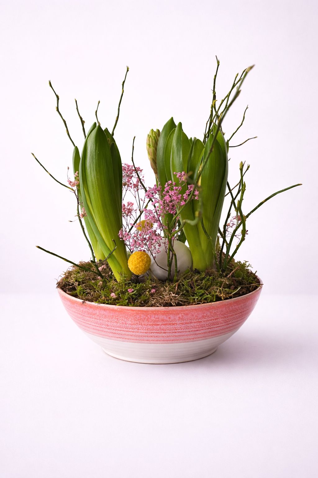 PHOTO-2026-03-03-13-34-12